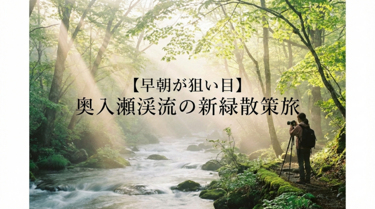 緑豊かな初夏の奥入瀬渓流。朝の光（光芒）が木々の間から美しく降り注ぎ、澄んだ川が流れています。右下には、三脚を立てて一眼レフカメラで景色を撮っている女性の背中が映っています。中央には「【早朝が狙い目】奥入瀬渓流の新緑散策旅」という黒い文字が配置されています。